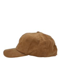 The manchester cap camel